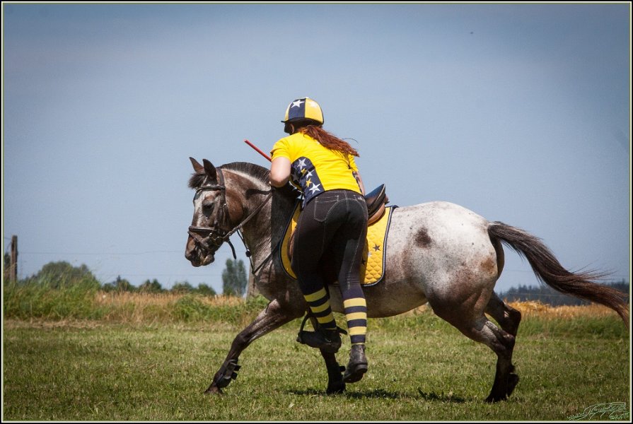 Mounted Games 161